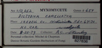 Image Associated With the Occurence
